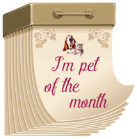 a pet of the month award